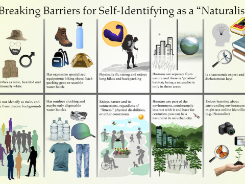 naturalist