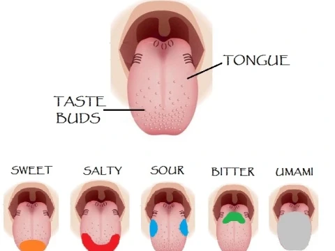 tasting