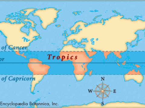 tropics