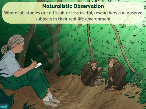 naturalistic