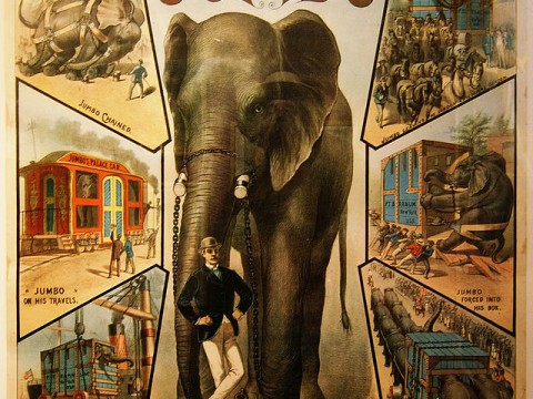 jumbo