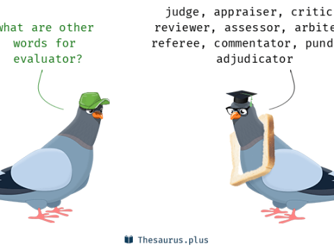 evaluator