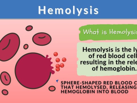 haemolytic