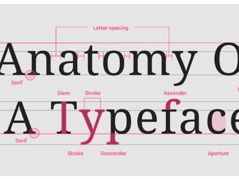 typeface