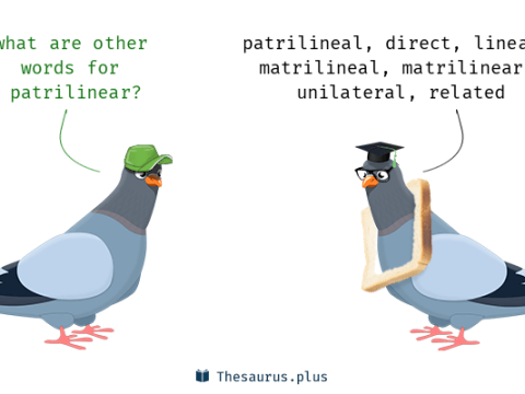 matrilinear
