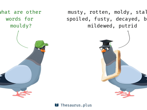mouldy