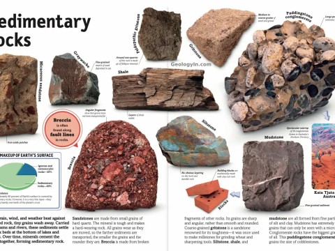 sedimentary