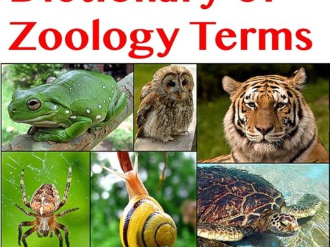 zoological