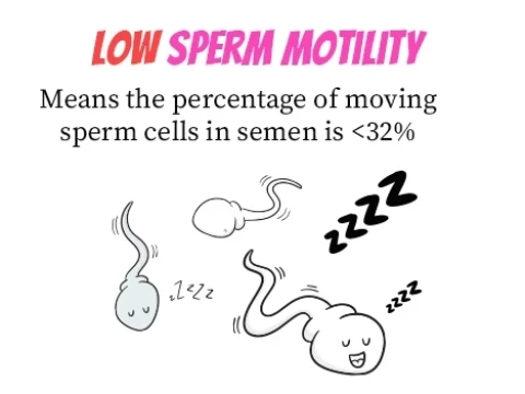 motility