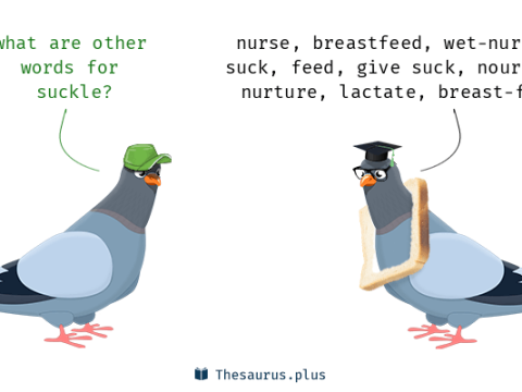 suckle