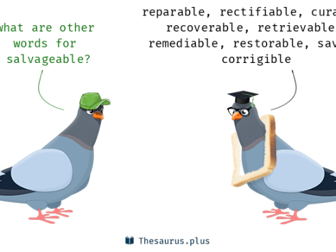 salvageable