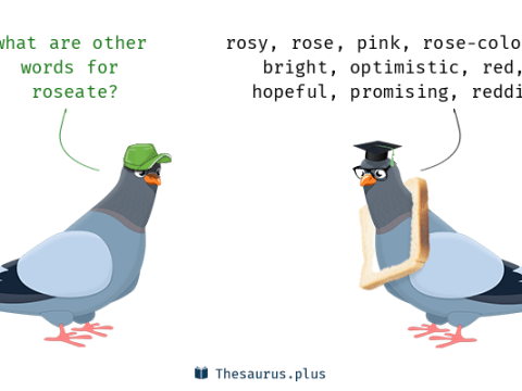 roseate