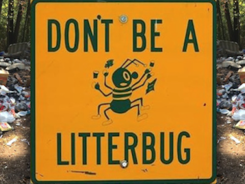 litterbug