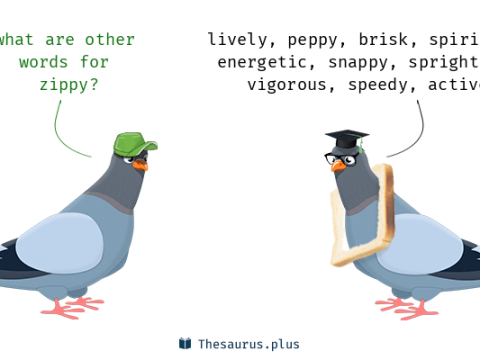 zippy