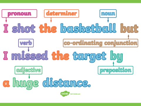 sentence