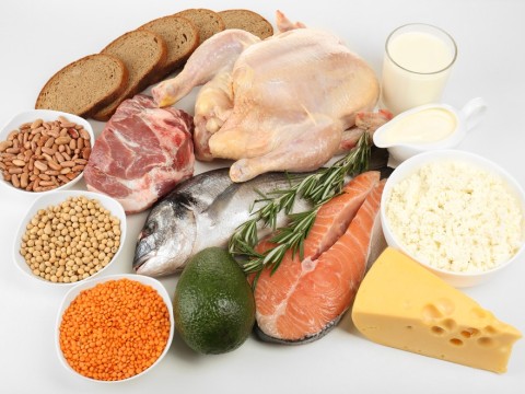 protein
