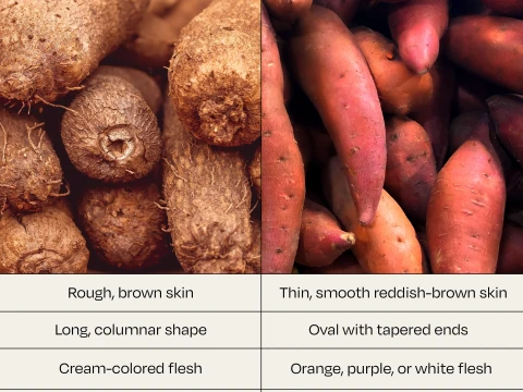 sweet potato