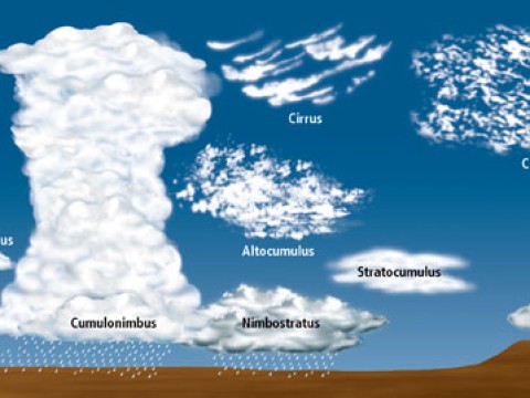 cumulus