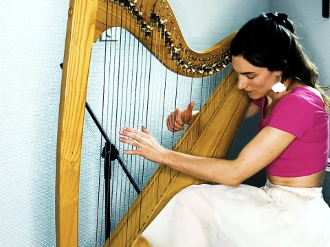harpist