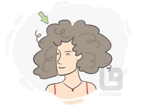 curliness