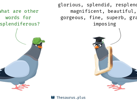 splendiferous