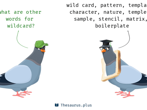wildcard