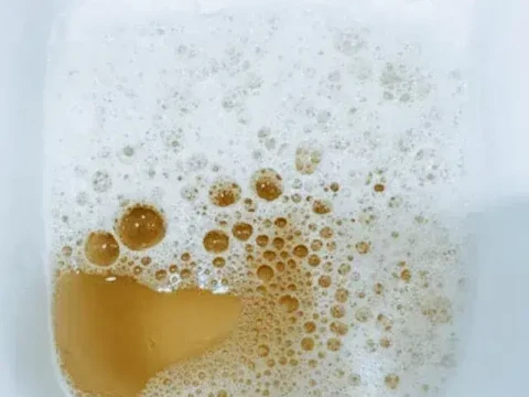 foamy