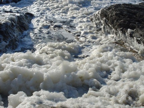 foaming