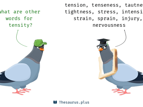 tensity
