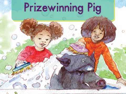 prizewinning