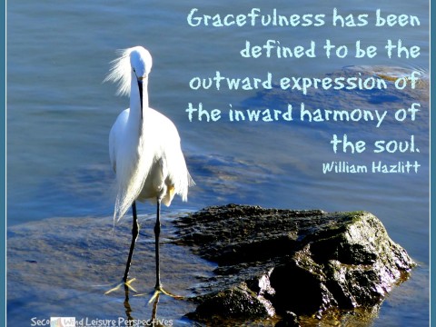 gracefulness