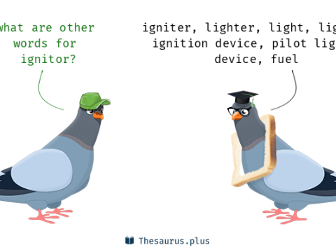 ignitor