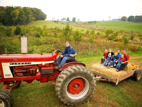 hayrack