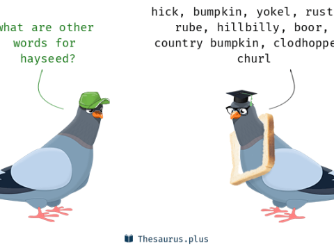 hayseed