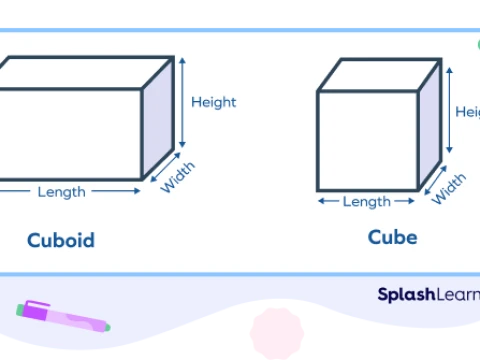 cuboidal