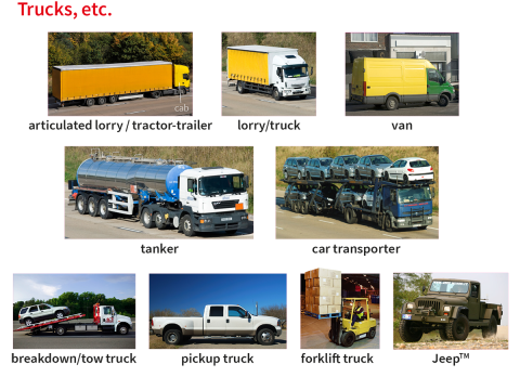 transportee