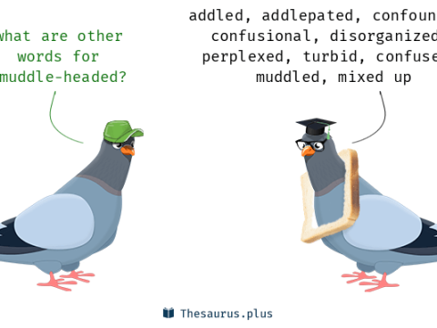 muddleheaded