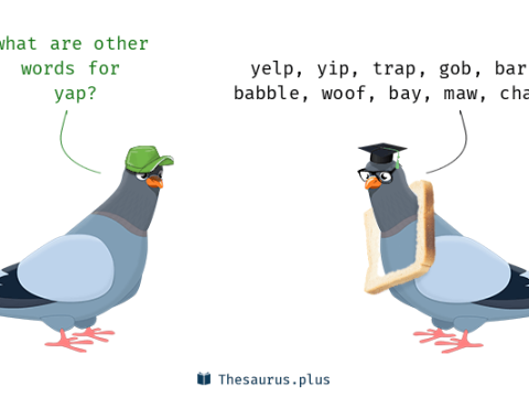 yap