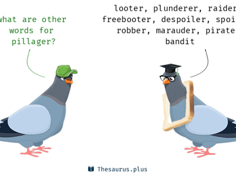 pillager