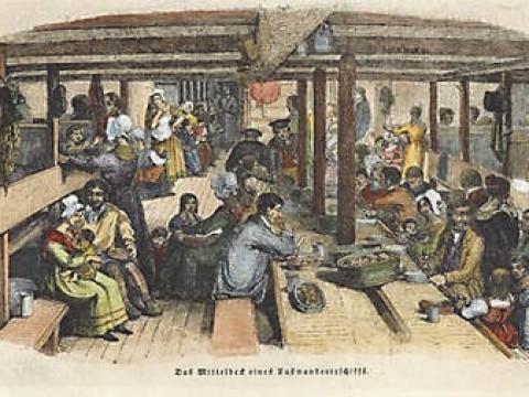 steerage