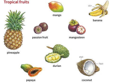 durian