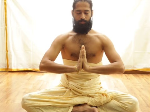 yogi