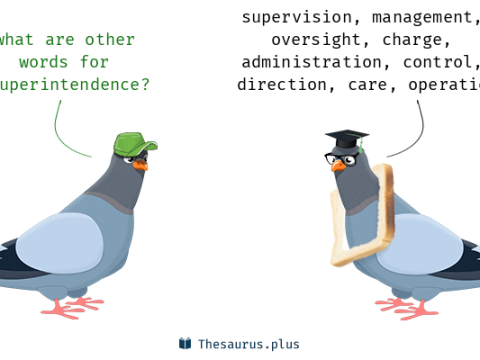 superintendence