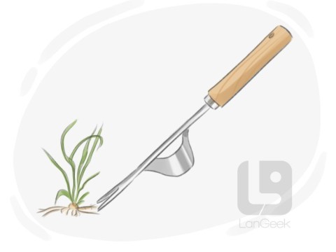 weeder