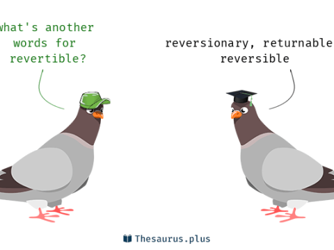 revertible