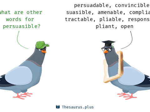 persuasible
