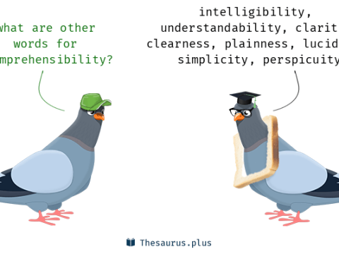 comprehensibility