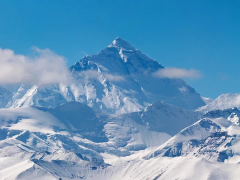 Himalayan