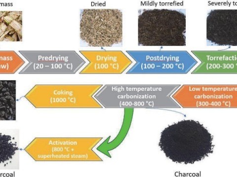 carbonize