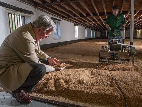 maltster